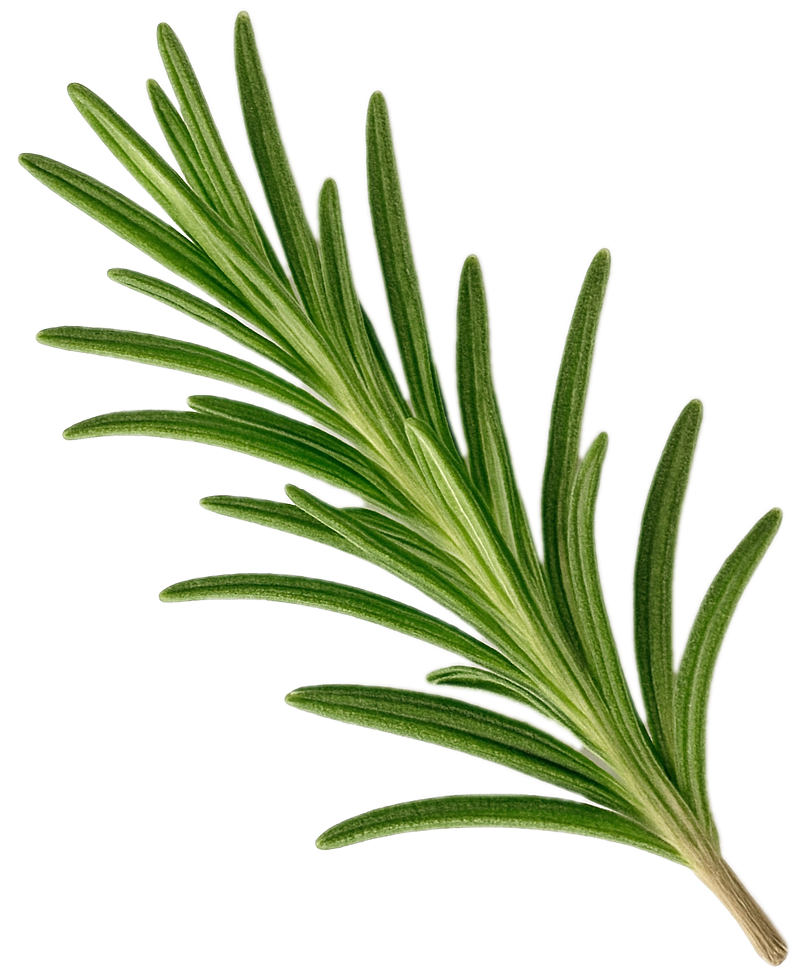 Herbal-Shine Growth Oil